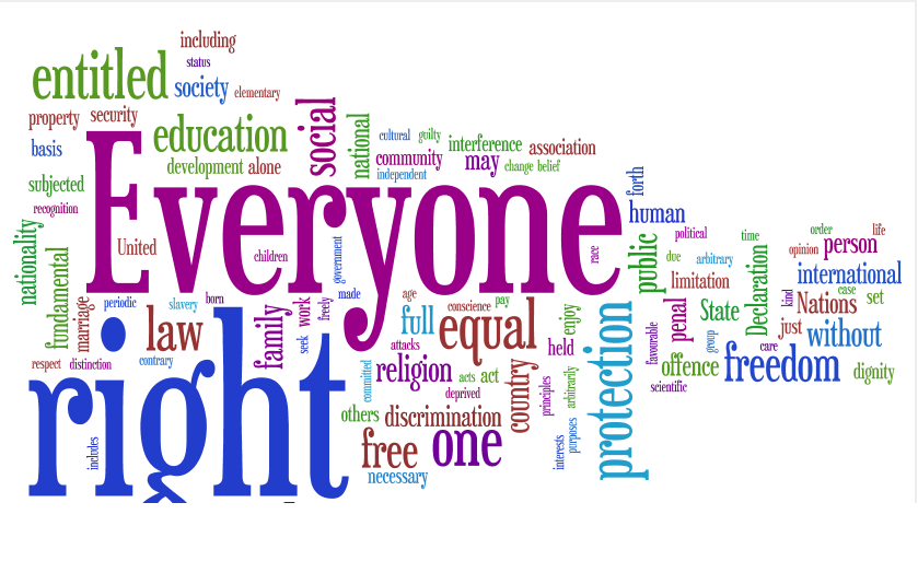 universal-declaration-of-human-rights-opinio-juris